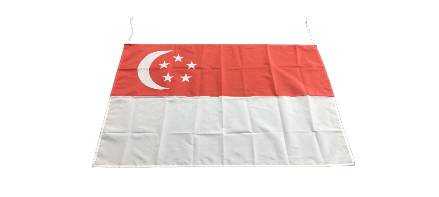 Gahumi Case-Singapore Flag-P1.png
